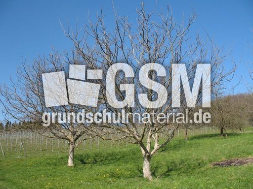 Weil am Rhein Weiler Weinweg 021.jpg